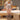 0026900055 - 0026900055-COMO-VESTIR-COLLANT-COMPRESSAO-BUTLER-MEDI_.JPG