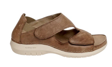 002COMFYROSA - 002COMFYROSA002COMFYROSATAUPE.JPG