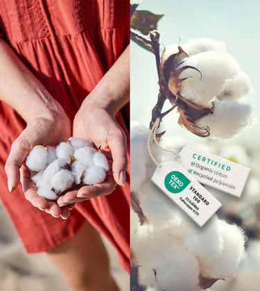 002Y5101017 - 002Y5101017_1.JPG