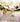 259AFC - 259AFC-MEIA-COMPRESSAO-COMFORT-GRAU-2-ATE-COXA-CURTA-BANDA-MEDI_9.JPG