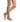 381AD - 381AD-MEIA-COMPRESSAO-MEDIVEN-ULCER-KIT-MEDI-VIVER-MELHOR-LOJA-ORTOPEDICA-PRODUTOS-APOIO-ORTOPEDIA-SAUDE-FISIOTERAPIA_5.JPG