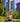 507LEVAMED - 507LEVAMED507LEVAMED-PE-ELASTICO-SUPORTE-SILICONE-LEVAMED-MEDI_6.JPG